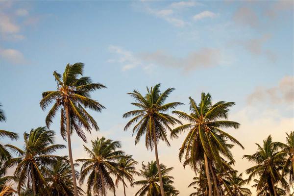 KwaZulu-Natal coastline — Scoutster digital agency serving KZN businesses